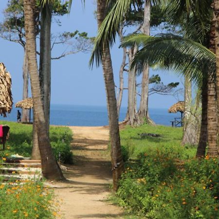Pearl Park Beach Resort-Neil Island Lakshmanpur Buitenkant foto