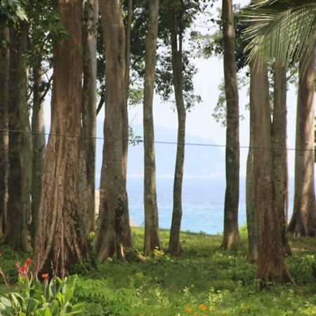 Pearl Park Beach Resort-Neil Island Lakshmanpur Buitenkant foto