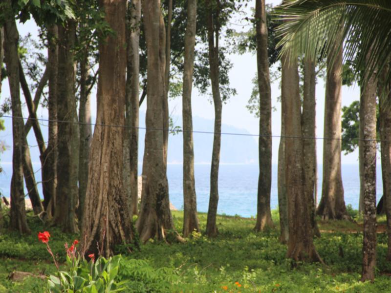 Pearl Park Beach Resort-Neil Island Lakshmanpur Buitenkant foto